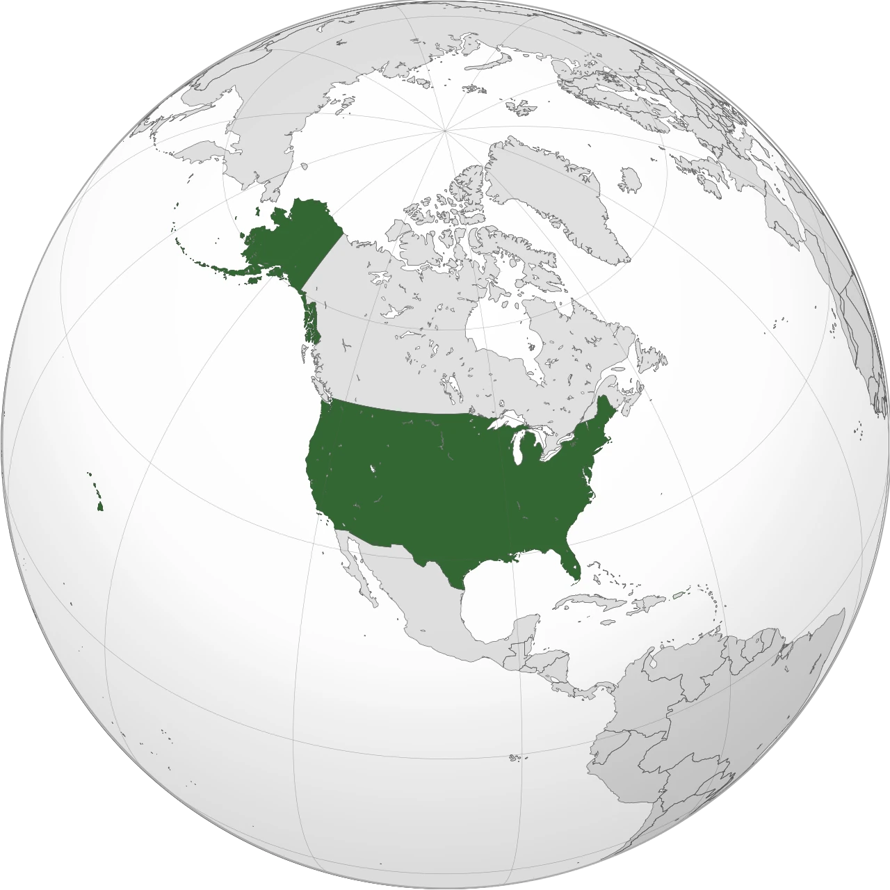 Book Baby House — United States